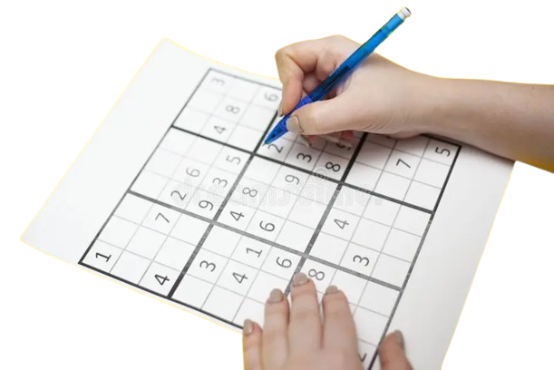 Sudoku Puzzle
